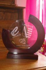 Trophee de petanques personnalise par la gravure sur verre realisee a partir des logos des villes 1