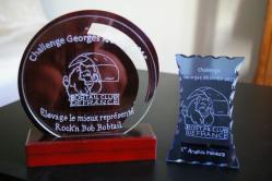 Trophee sportifs graves pour le club bobtail de france 1